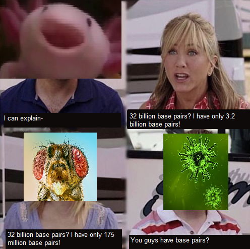 The Great Genetic Measuring Contest