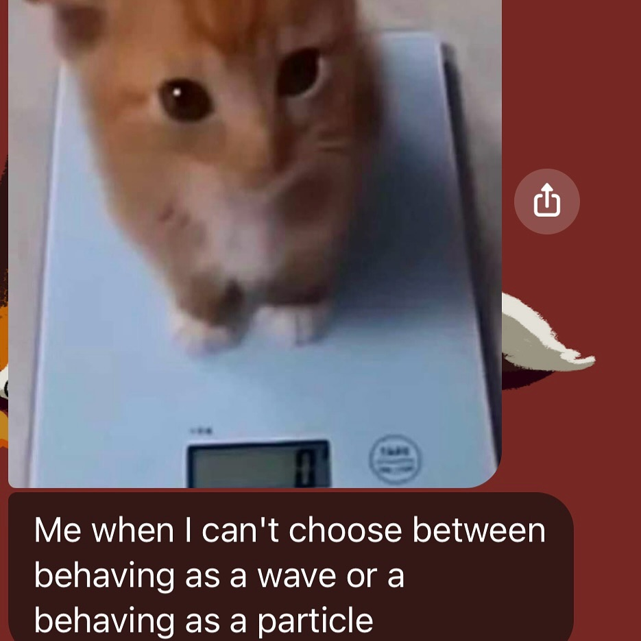 The Duality Of Cat