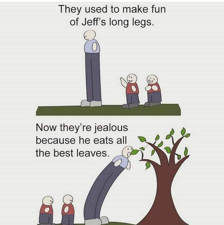 Evolution Of The Giraffe Through Natural Selection