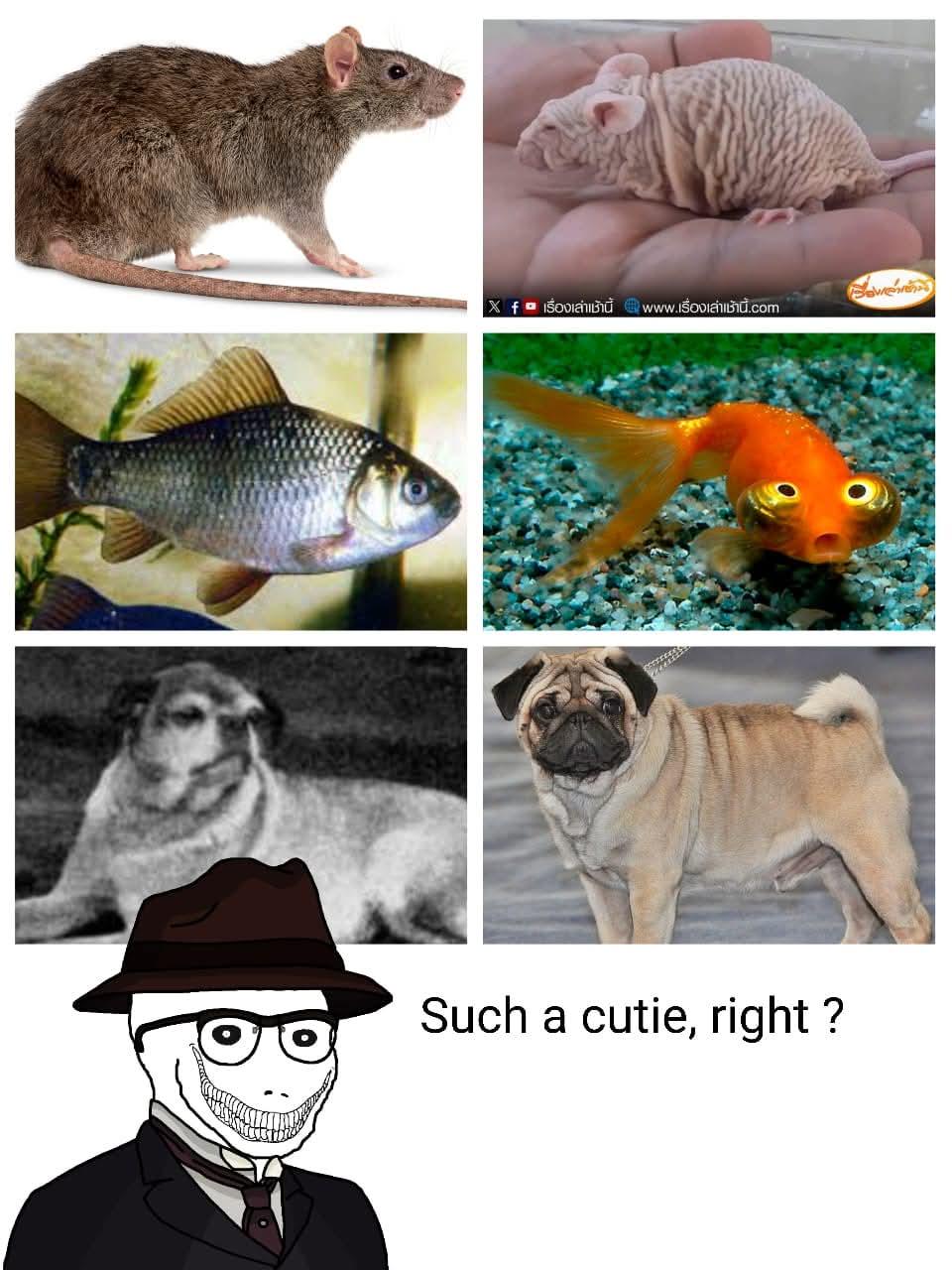 The Unnatural Selection Chronicles