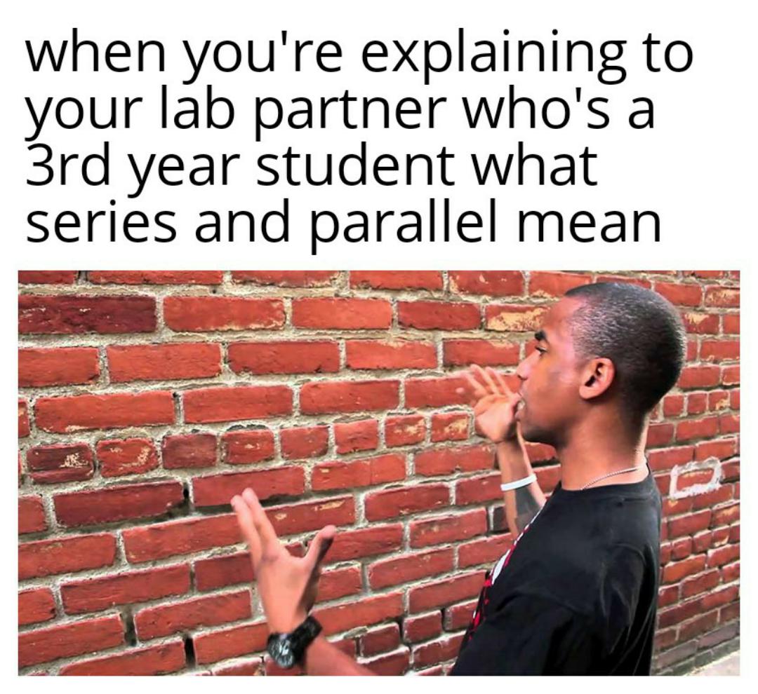Trust Me I Am Not The Brick Wall
