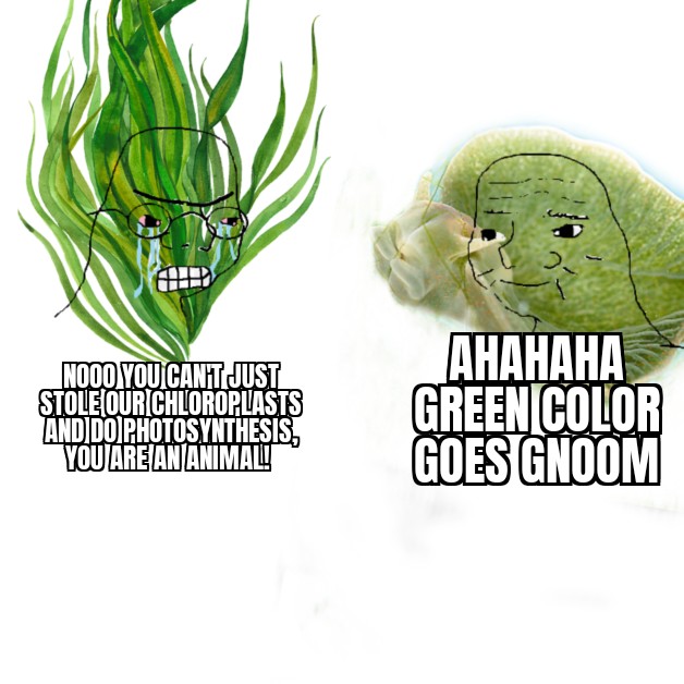 The Great Chloroplast Heist