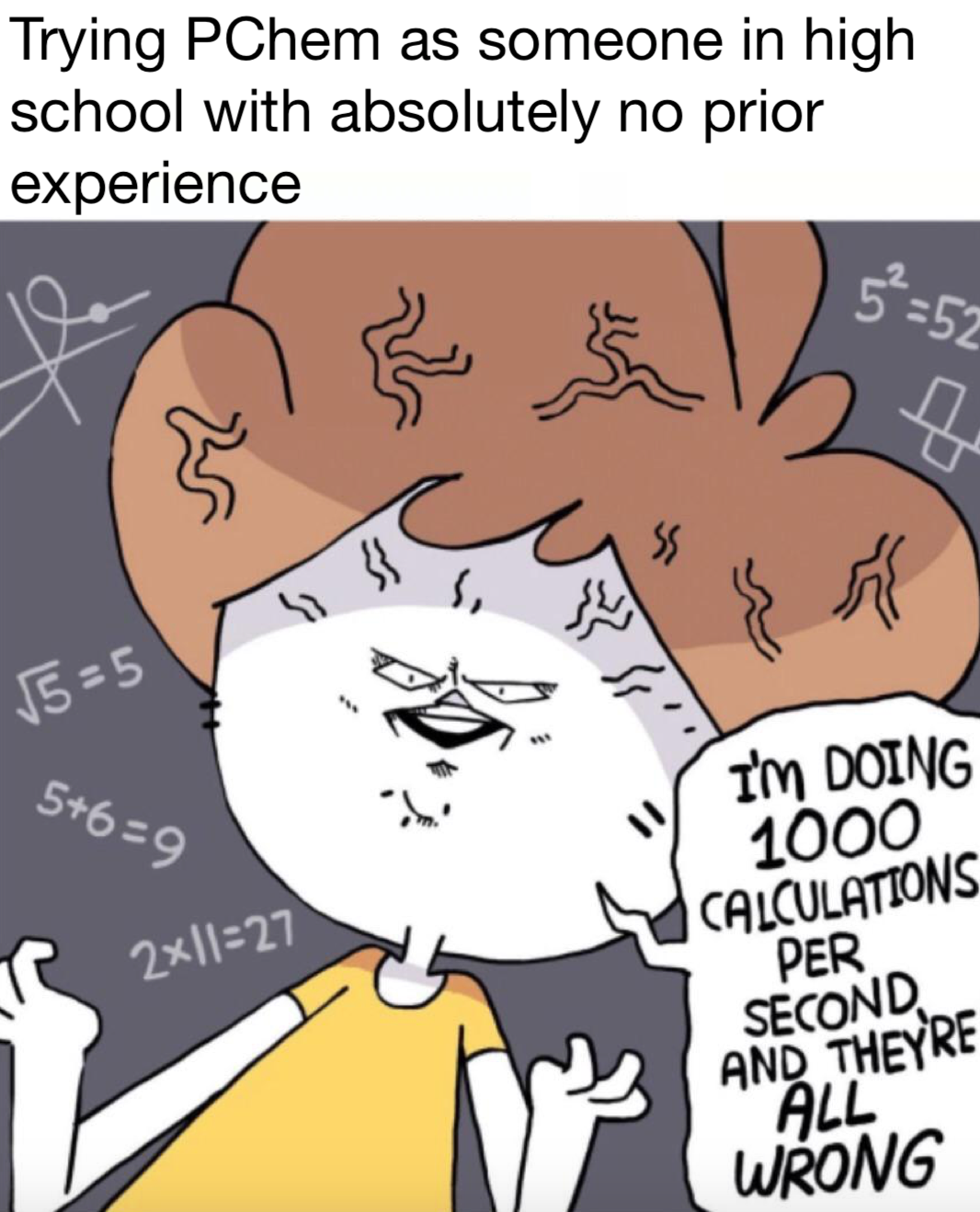 Kinda Getting The Hang Of P-Chem (But Not Really)