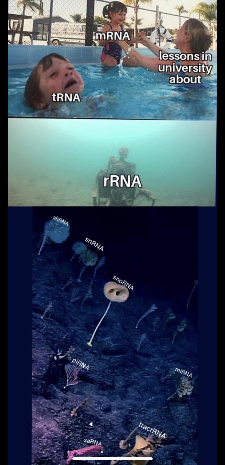 What's Your Favorite RNA Type?