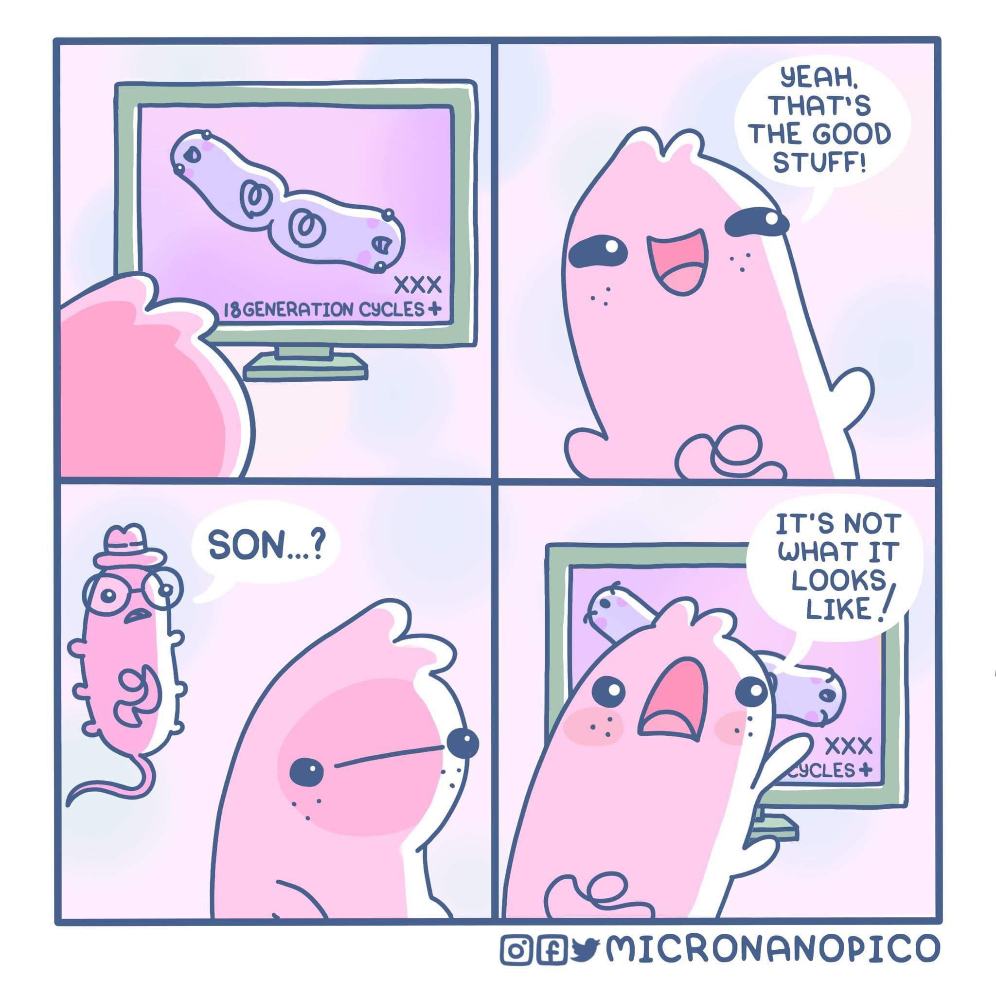 Talk To Your Kids About Binary Fission