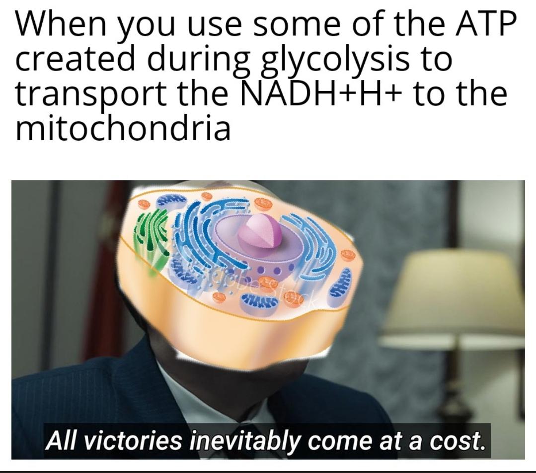 Cellular Economics: Spend ATP To Make ATP