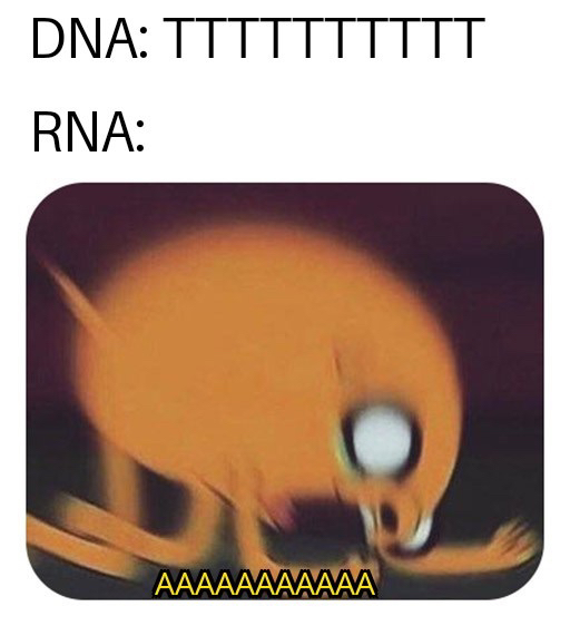 The Transcription Panic Attack