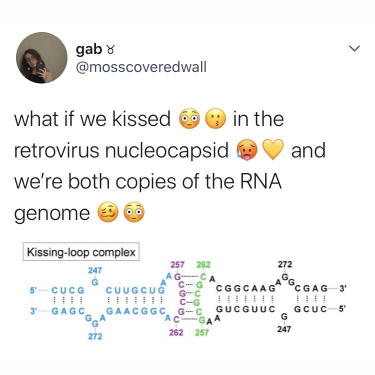 What If We Kissed In The Retrovirus Nucleocapsid