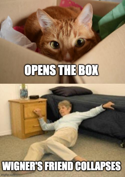 Believing In Observer-Causes-Collapse Be Like