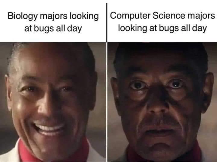 The Dual Nature Of Bugs