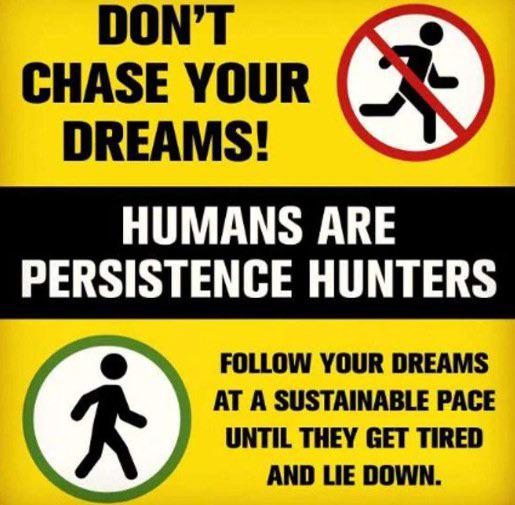 Evolutionary Advantage: Chase Your Dreams Until They Collapse