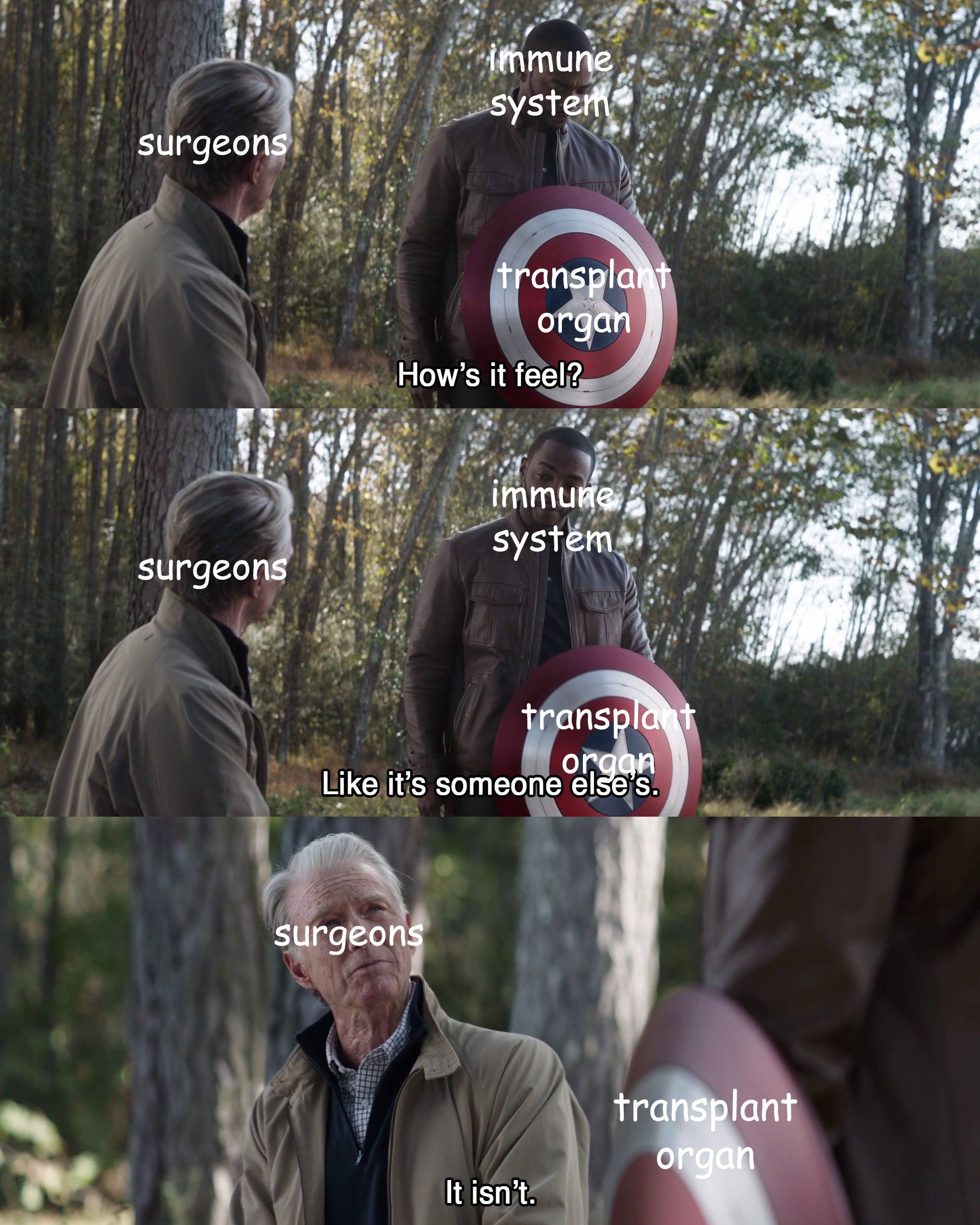 This Meme Was Made By Antibody Gang