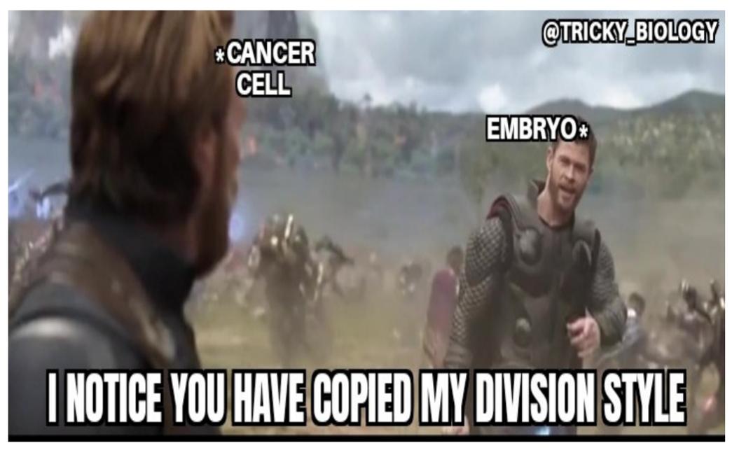 The Original Cell Division Influencers