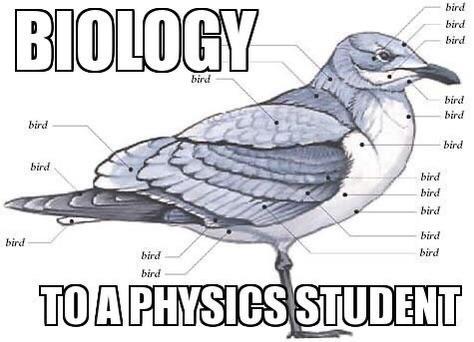 Biology To A Physics Student