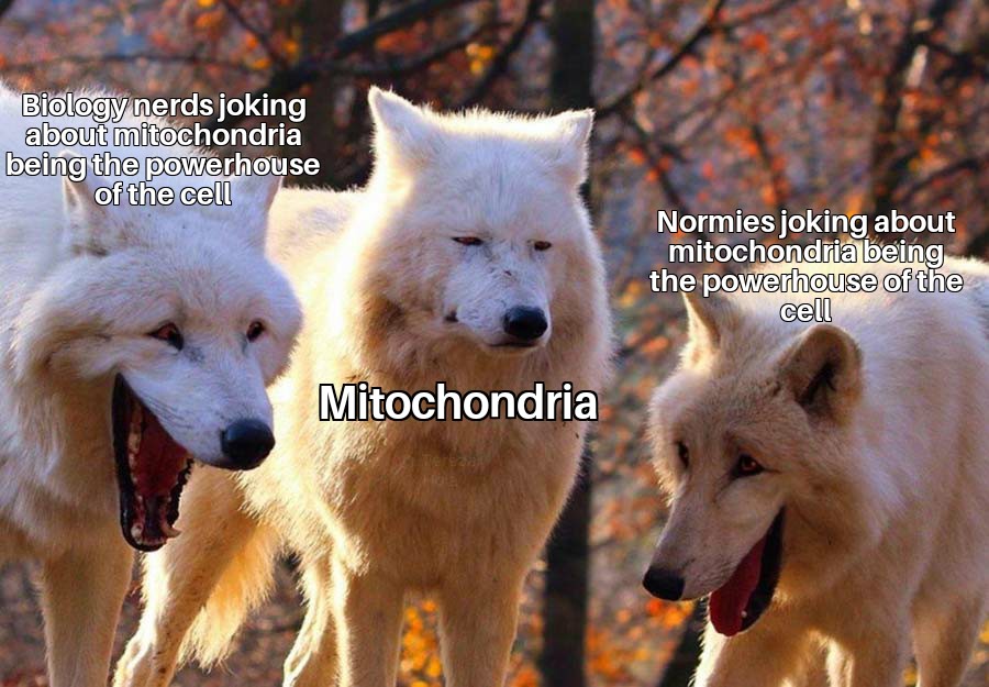 The Mitochondria Meme Hierarchy