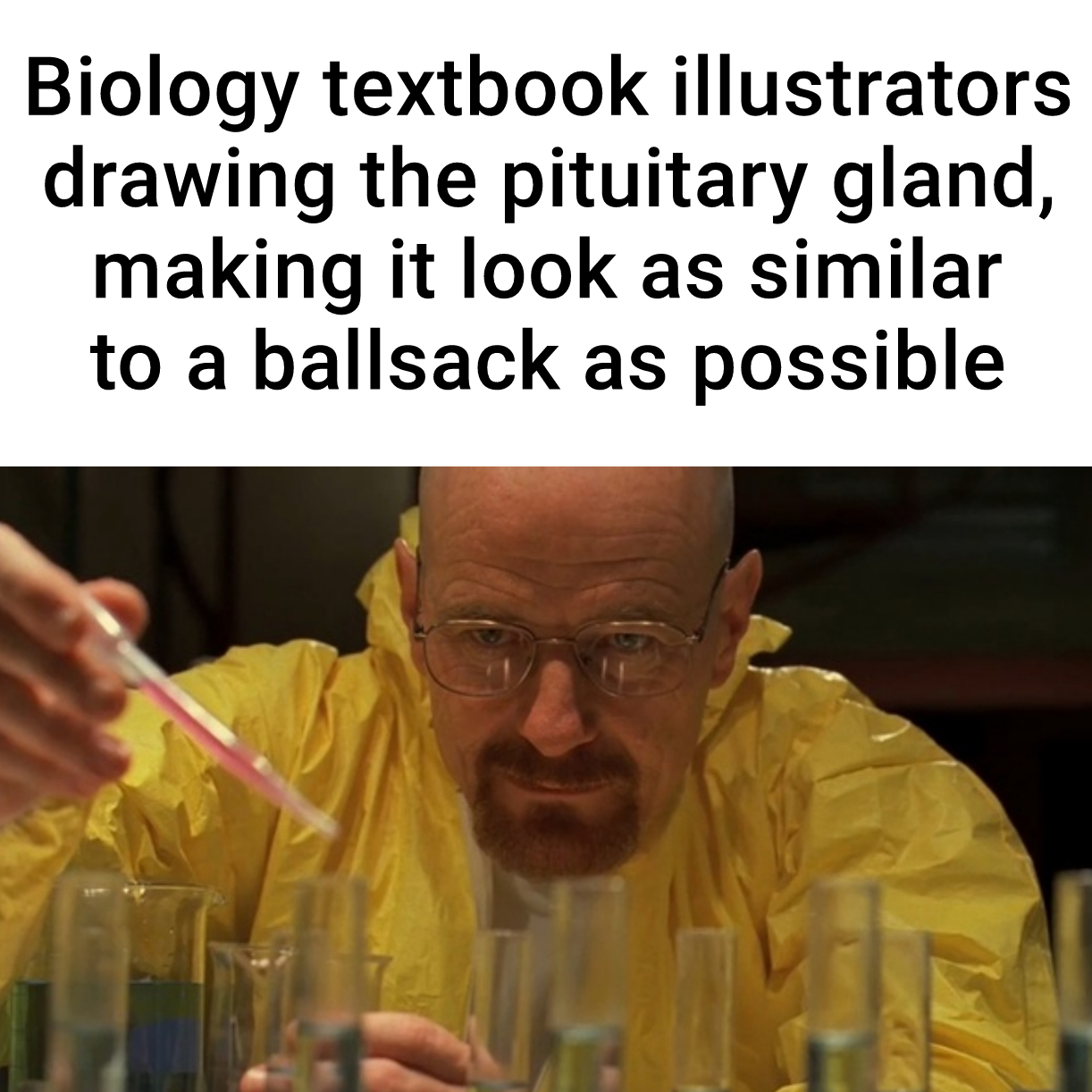 The Suspicious Anatomy Of Science Textbooks