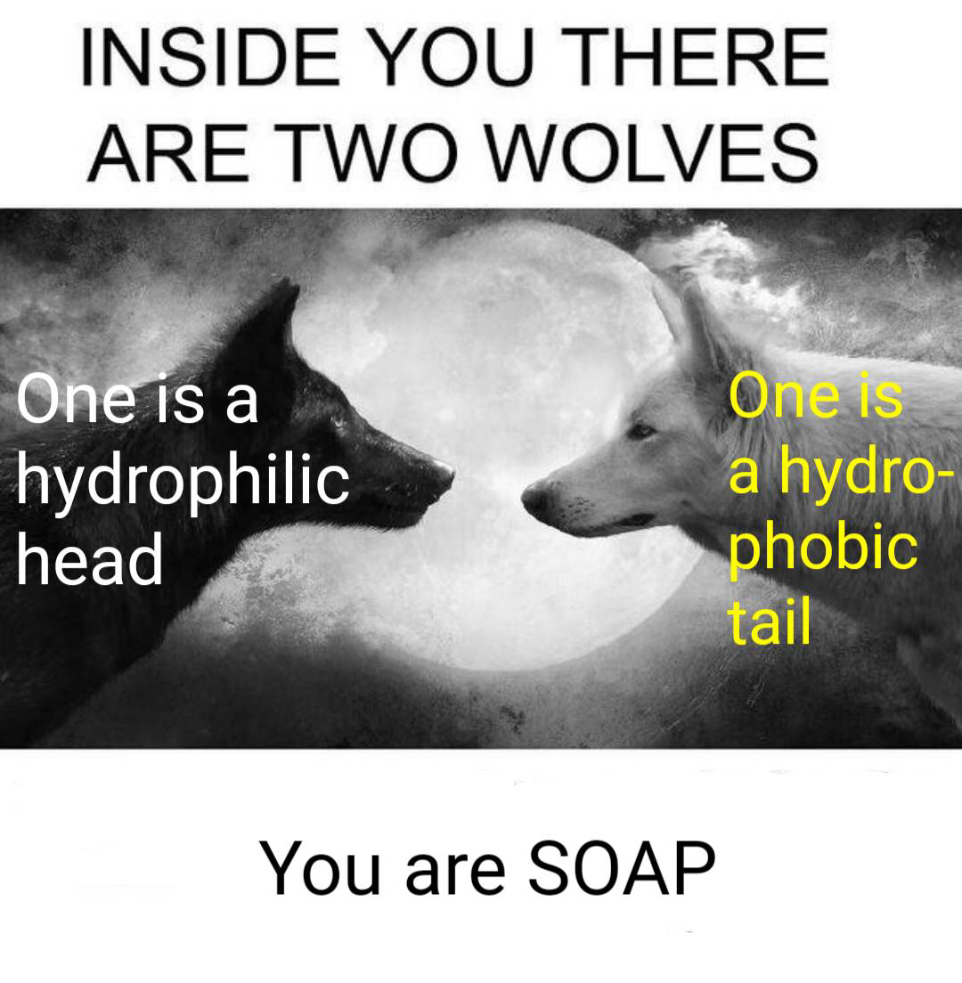 You Are Soap