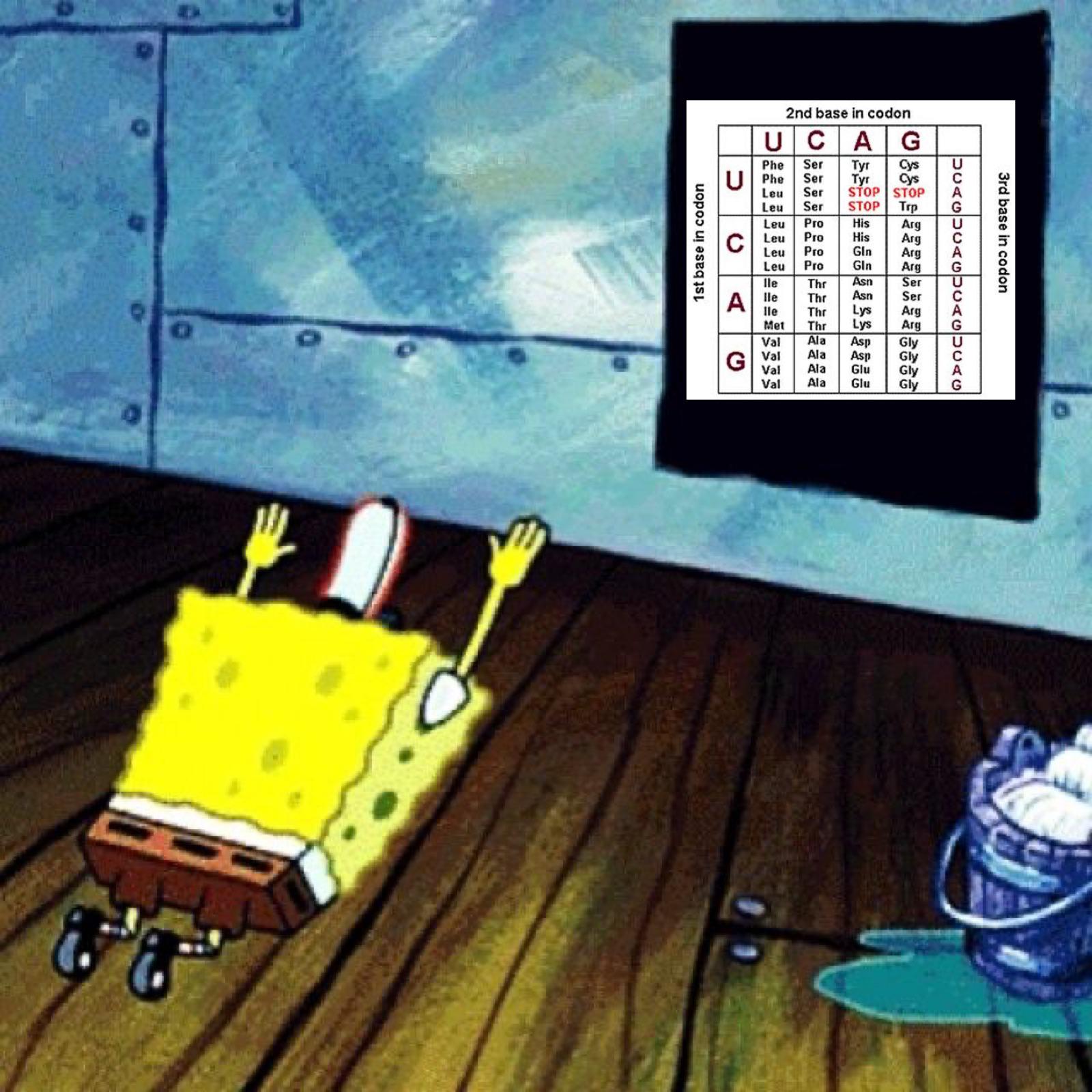 All Hail The Letters That Determine Everything That Exists