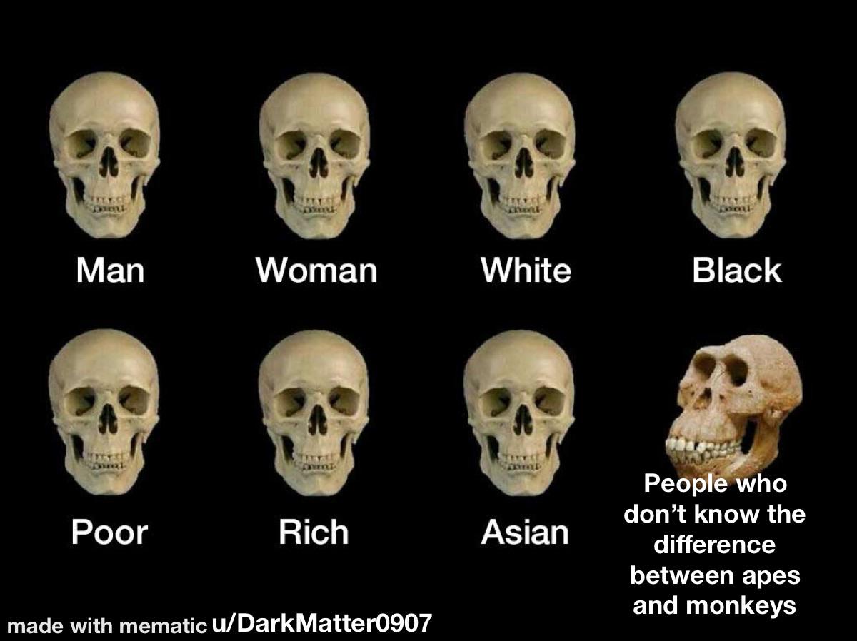 Skull Equality, Monkey Business