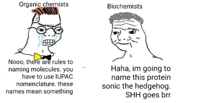 Got To Go Fast: The Nomenclature Divide