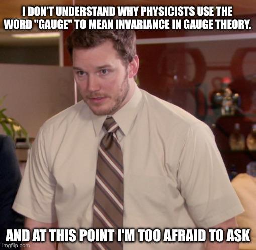 Too Afraid To Ask About Gauge Theory