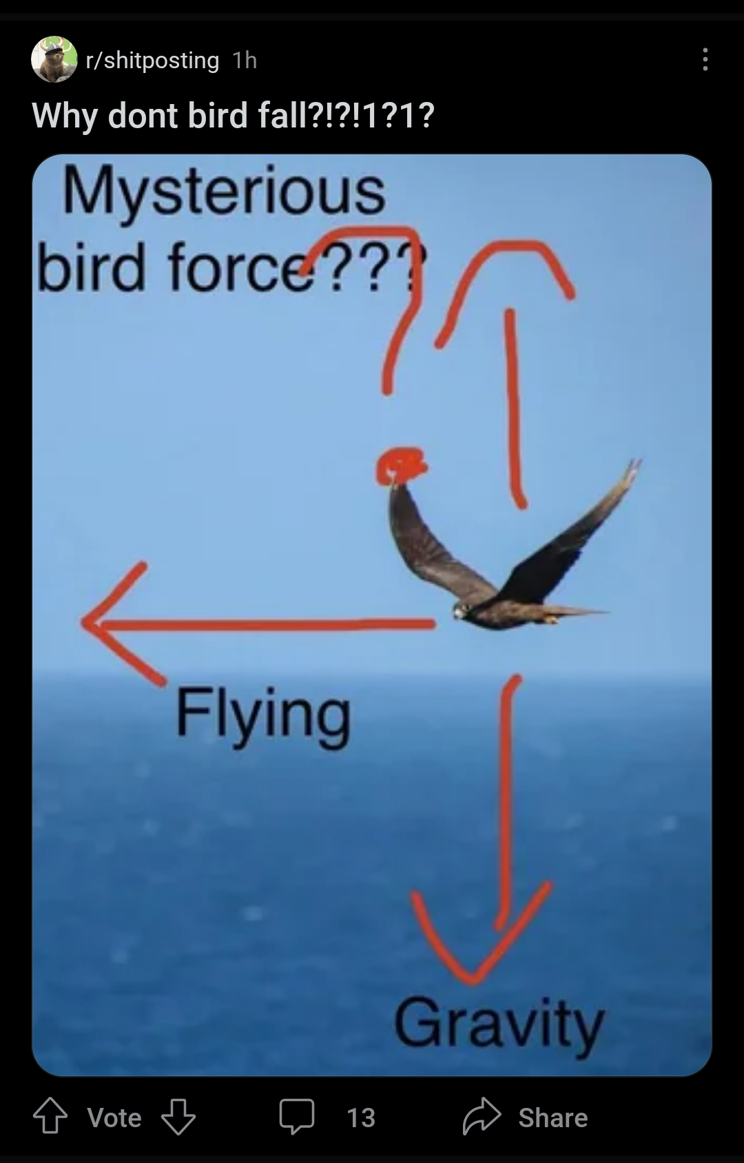 Why Don't Birds Fall? The Mystery Science Couldn't Solve