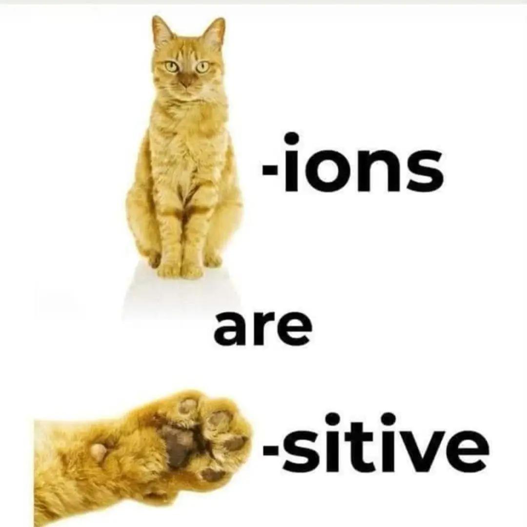 Cat-Ions Are Paw-Sitive