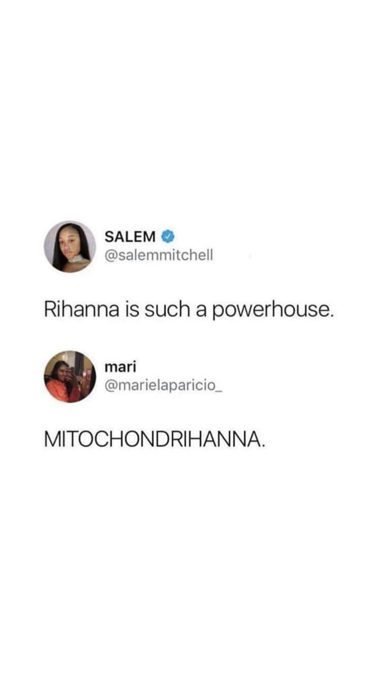 The Powerhouse Of The Pun