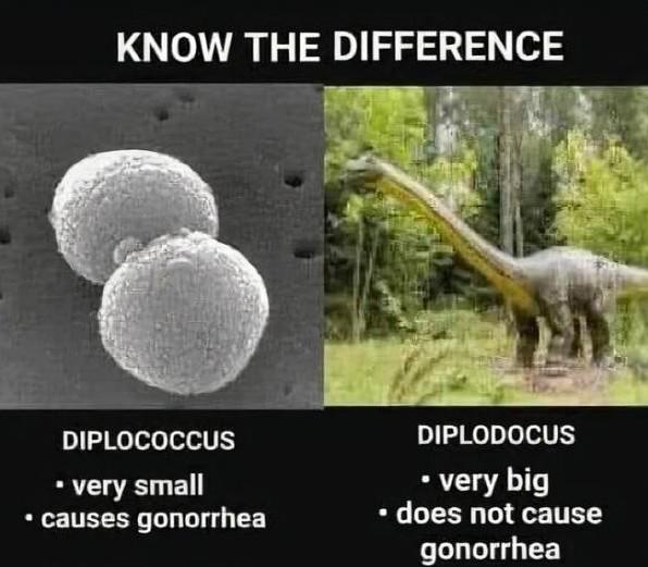 Can One Letter Make A Difference?