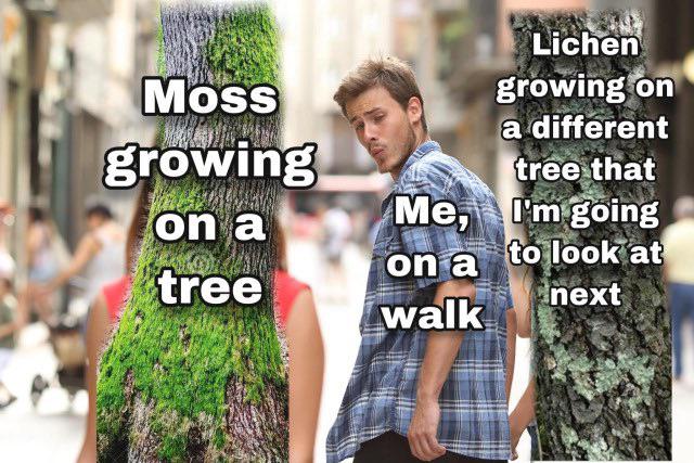 The Cryptogam Connoisseur's Daily Struggle