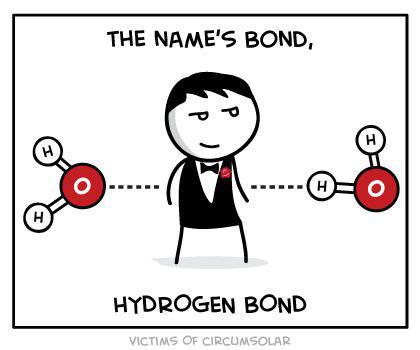 The Name's Bond, Hydrogen Bond