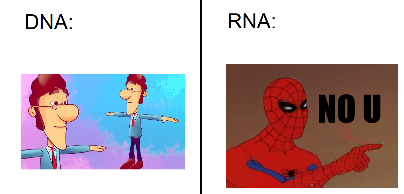 Uracilly Boy, DNA