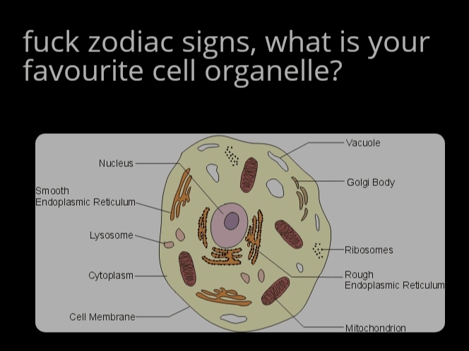 Mitochondria Is The Powerhouse Of Personality