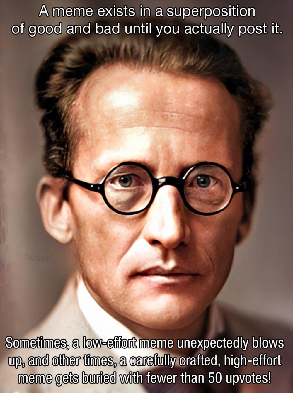 Schrödinger's Meme Paradox