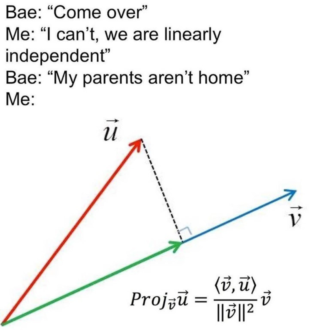 Vector Projection Of My Priorities