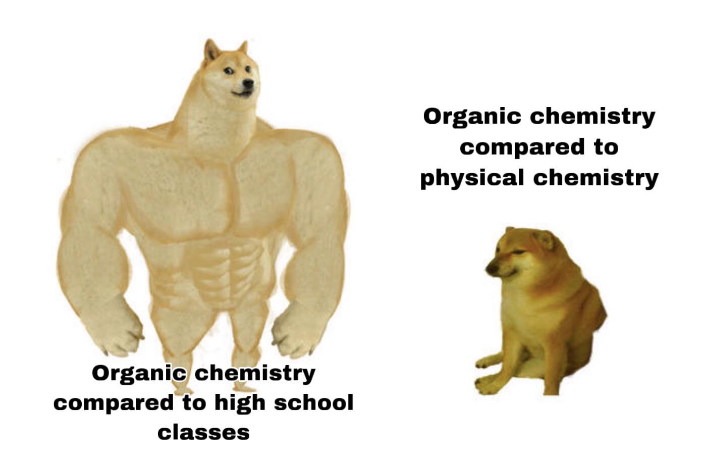 P-Chem Is Already Destroying Me