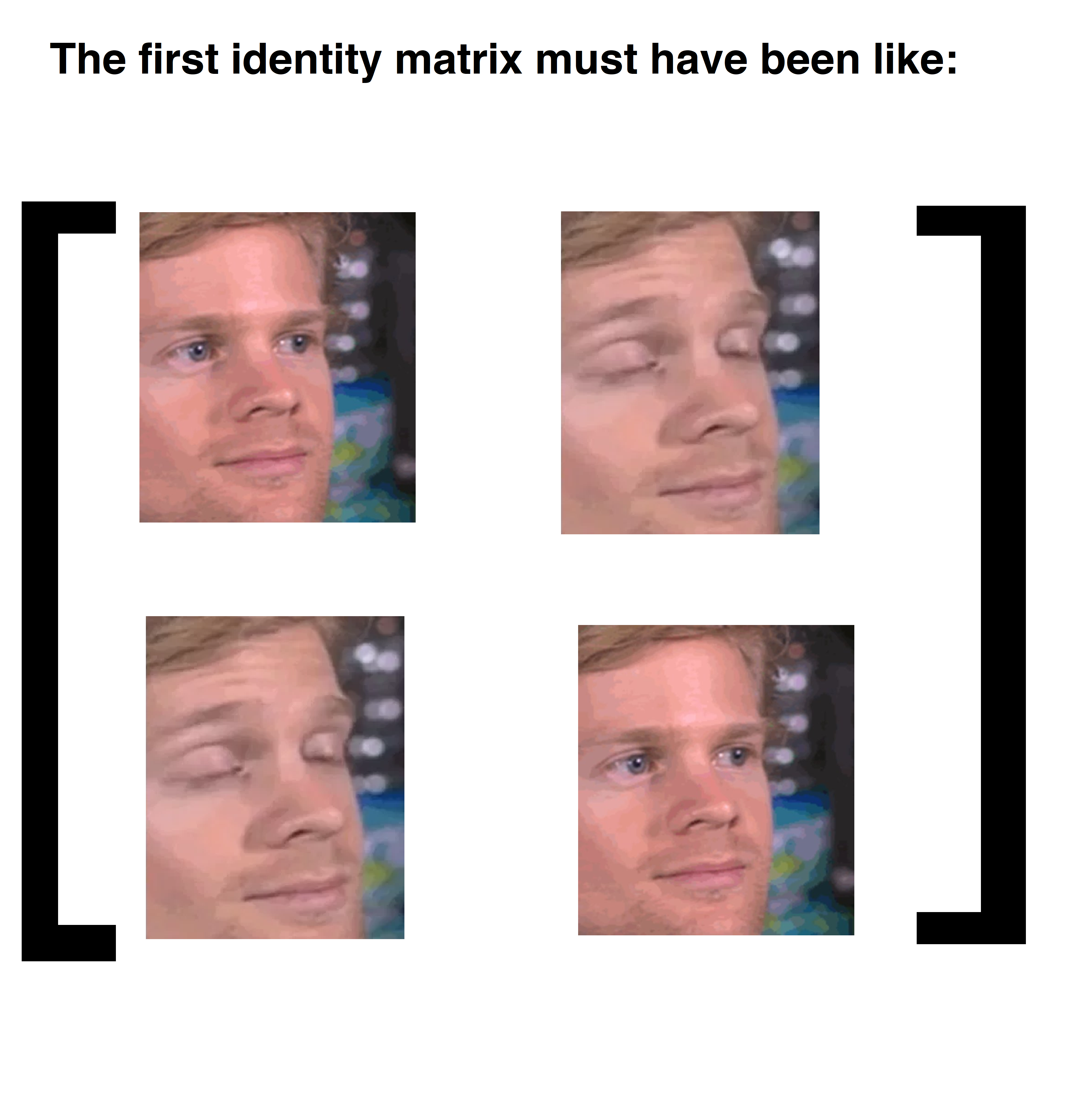 Identity Matrices Are Just Low Effort Palindromes Prove Me Wrong