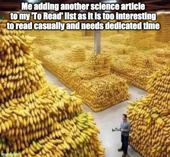 The Eternal To-Read Graveyard