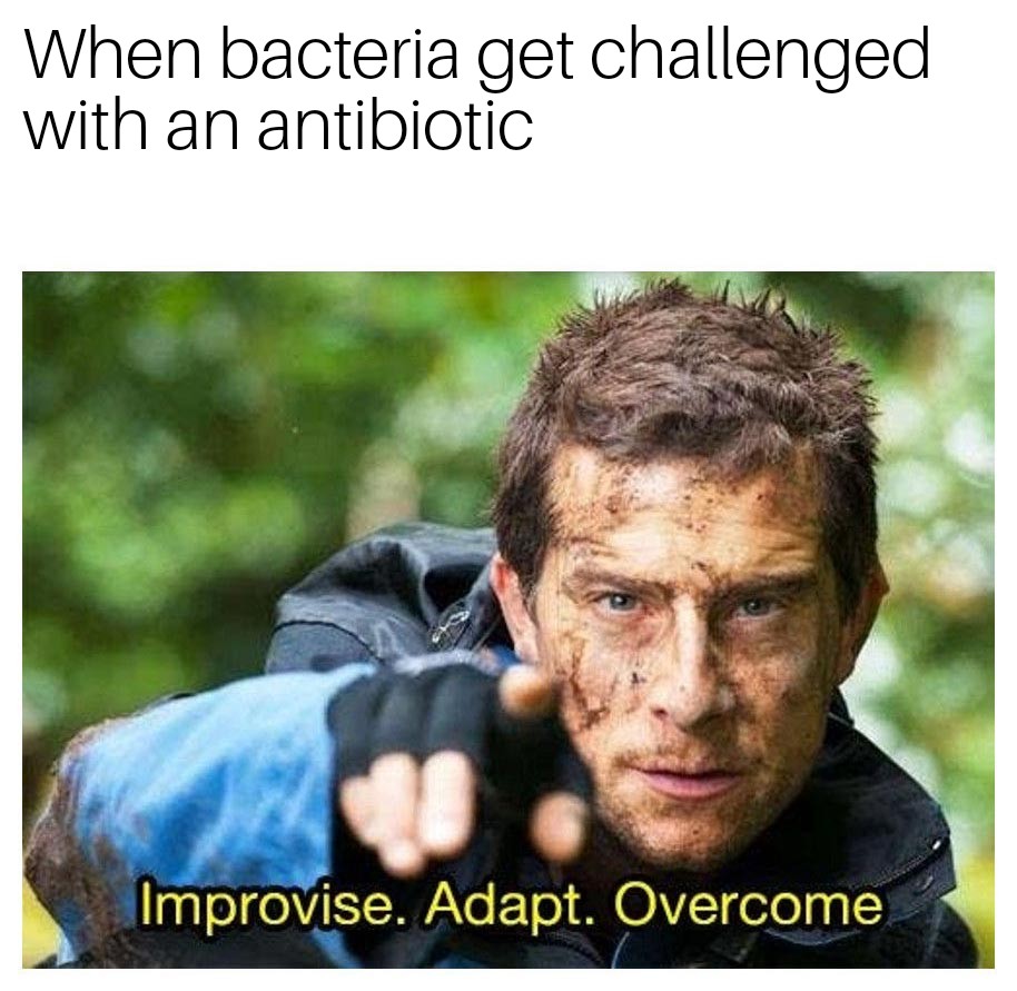 Hold My Plasmids