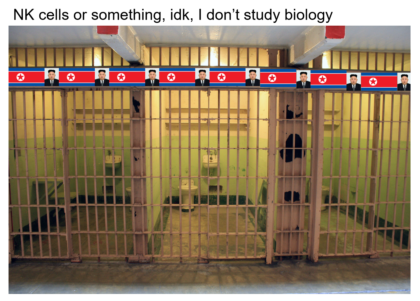 The Dictatorial Immune System