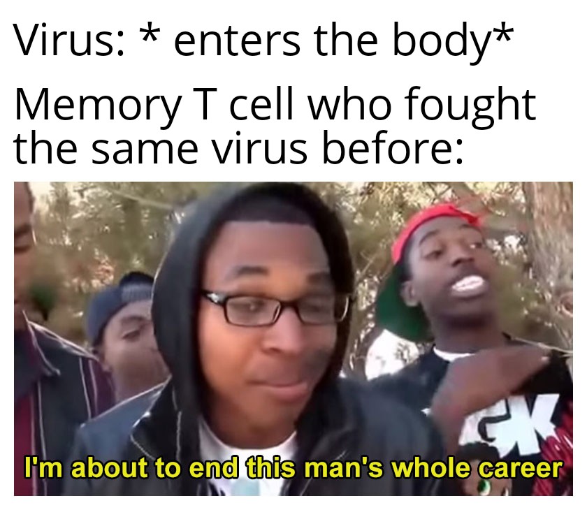 Immunity Be Like: The Cellular Revenge Tour