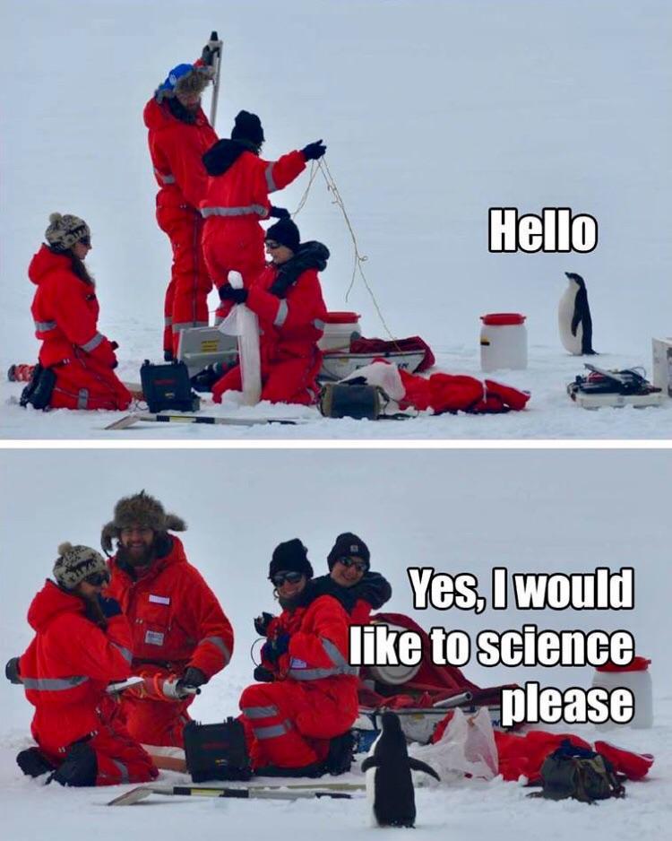 When Your Research Subject Introduces Itself