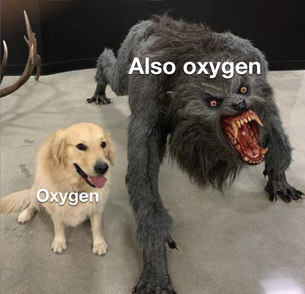 The Oxygen Paradox