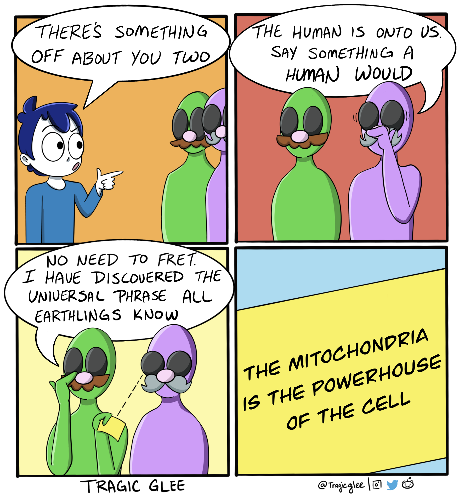 Mitochondria: The Universal Human Password