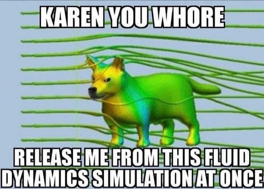 Release Me From Your CFD Simulation At Once!