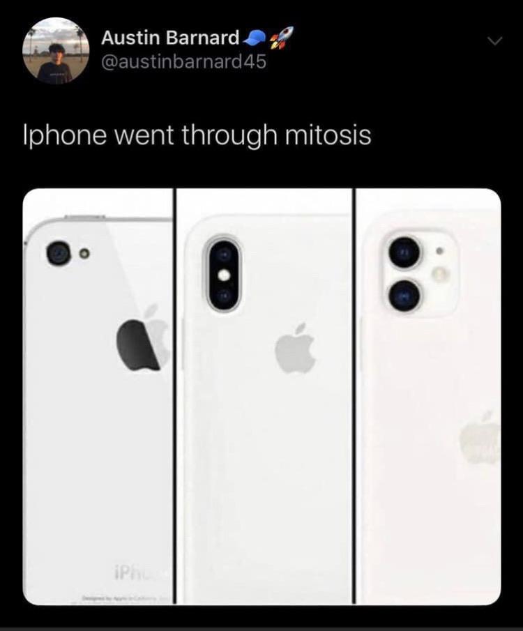 iPhone Undergoes Cellular Division