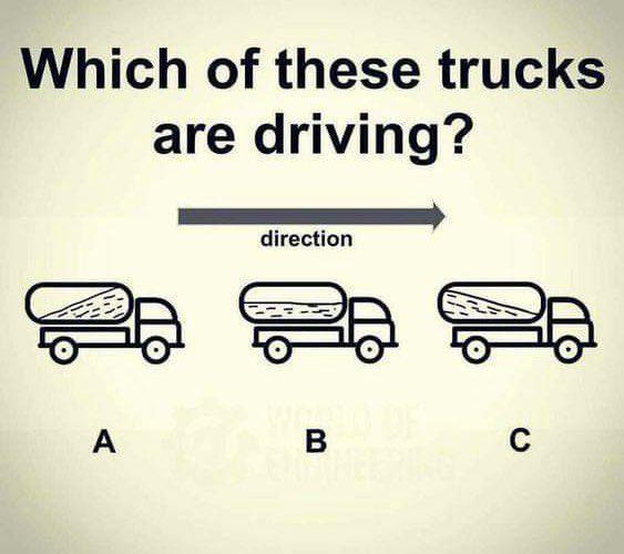 Wrong Answers Only: A Physics Perception Test