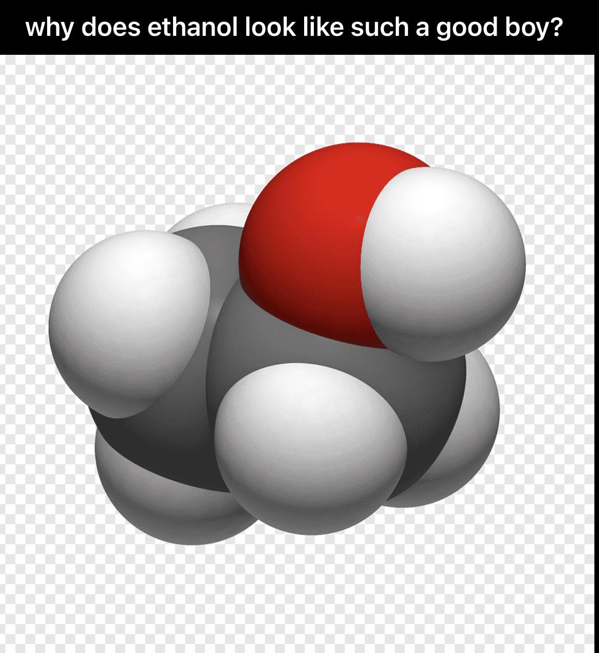 The Molecular Doggo Theory