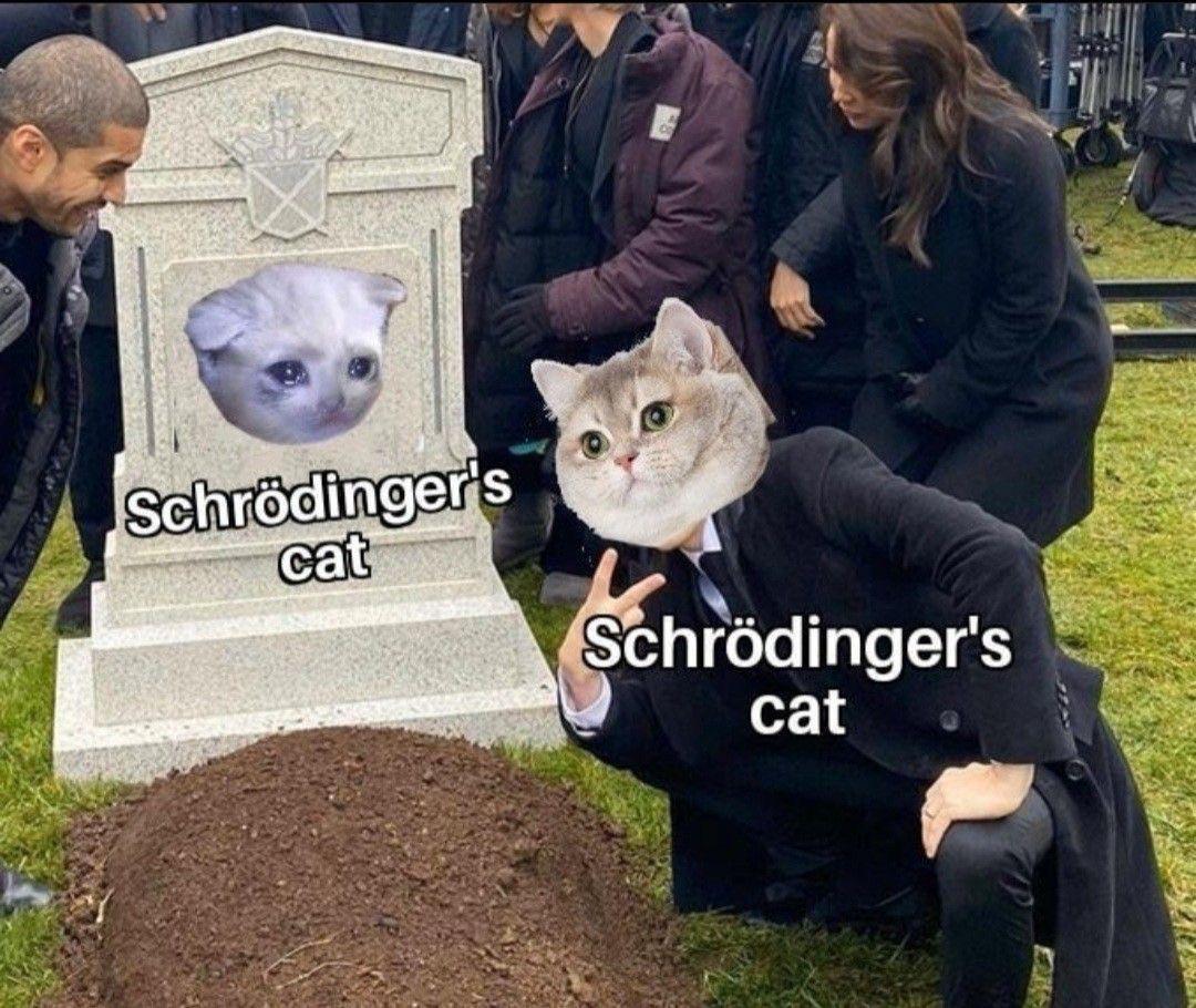 Schrödinger's Funeral: When You're Both The Mourner And The Mourned