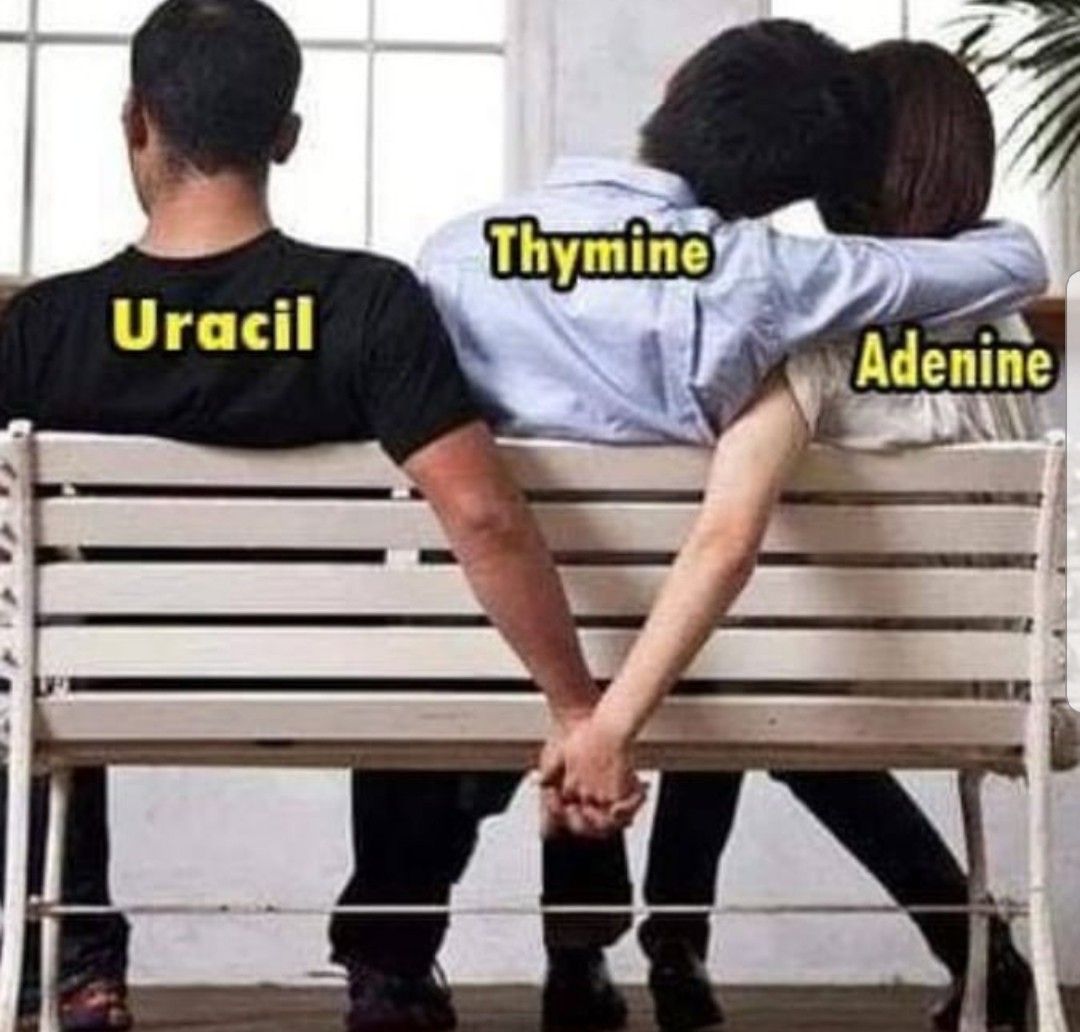 This Is So Relatable!!